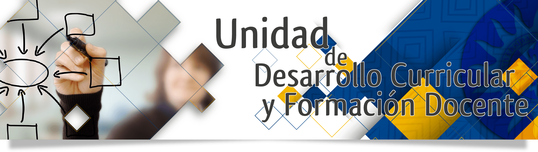 Unidad Desarrollo Curricular Formacion Docente