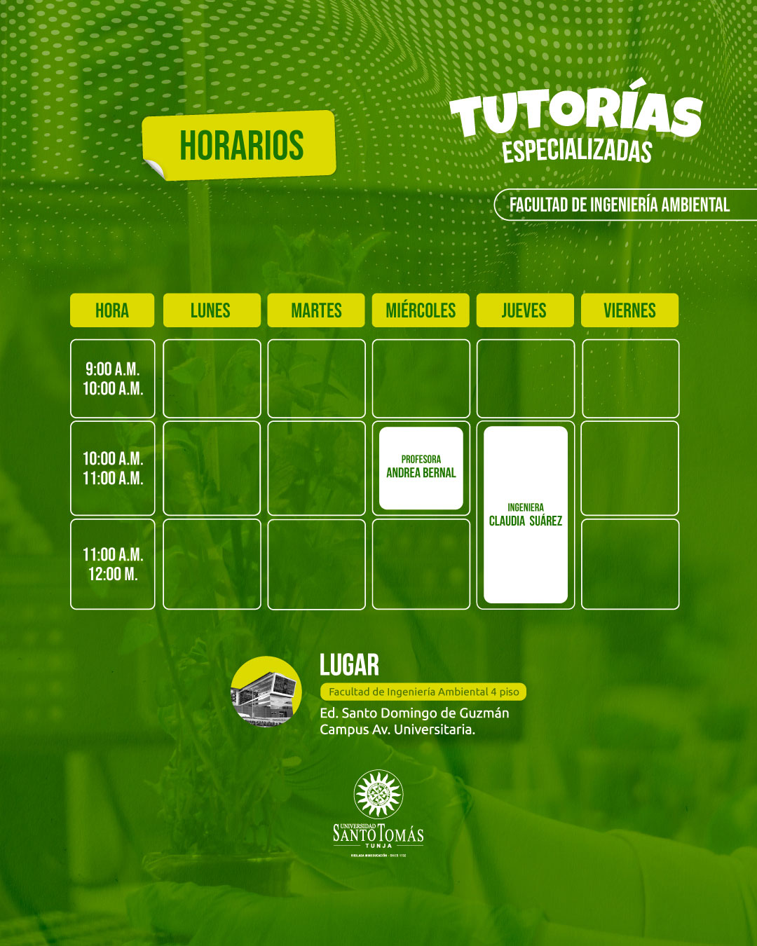 Tutorias especializadas ingenieria ambiental 2025 agosto