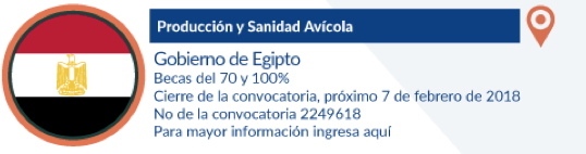 Convocatoria 2