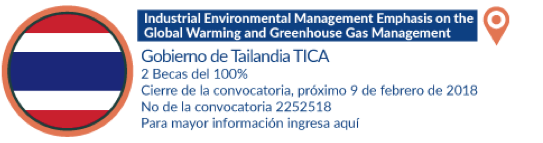 Convocatoria 4
