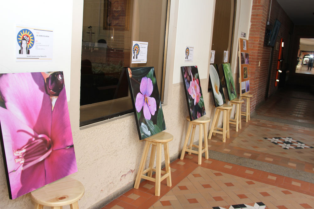 De_Edificio_a_Galeria_25