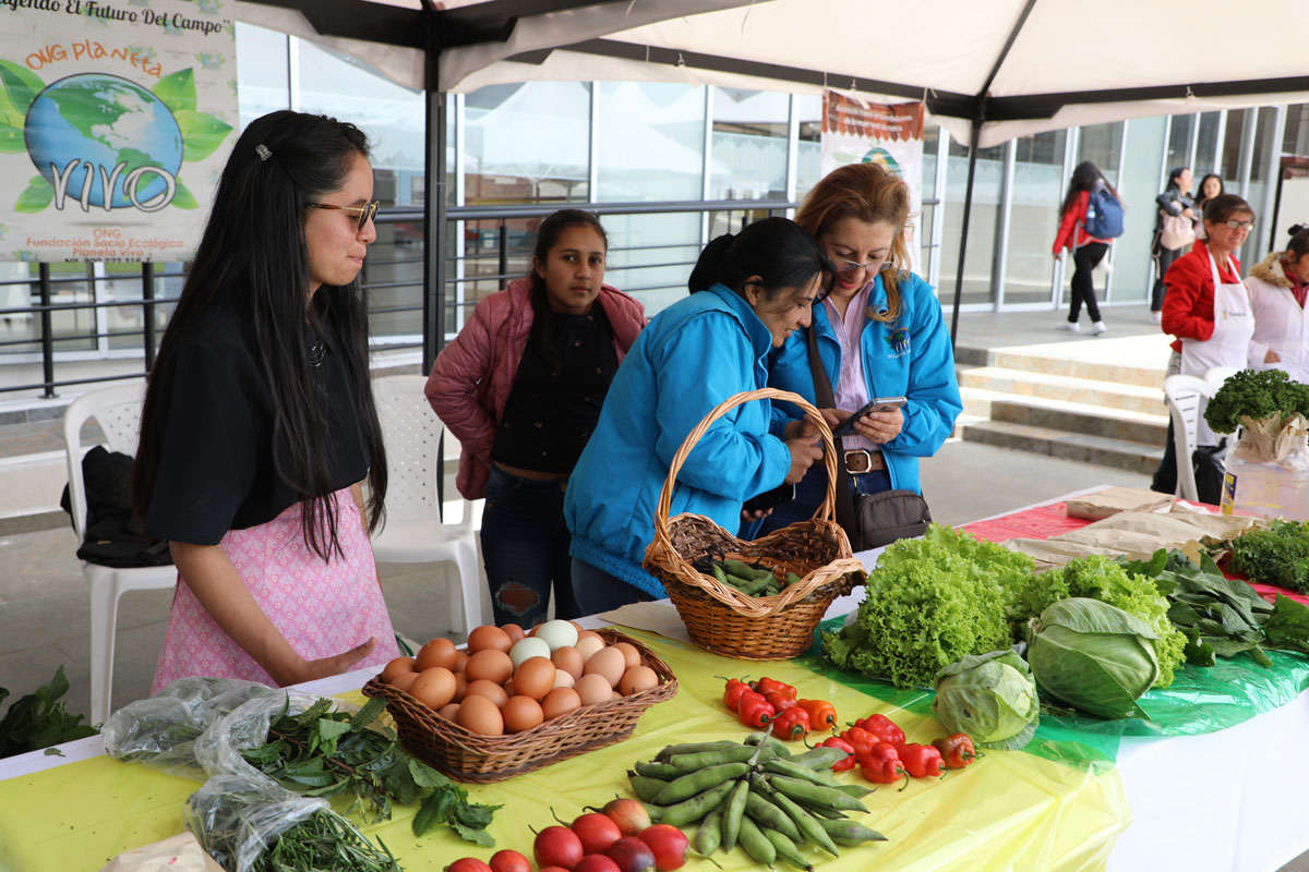 VI_Mercado_Verde_3