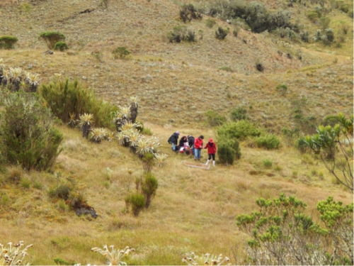 Salida de Campo Académica – Asignatura Biología