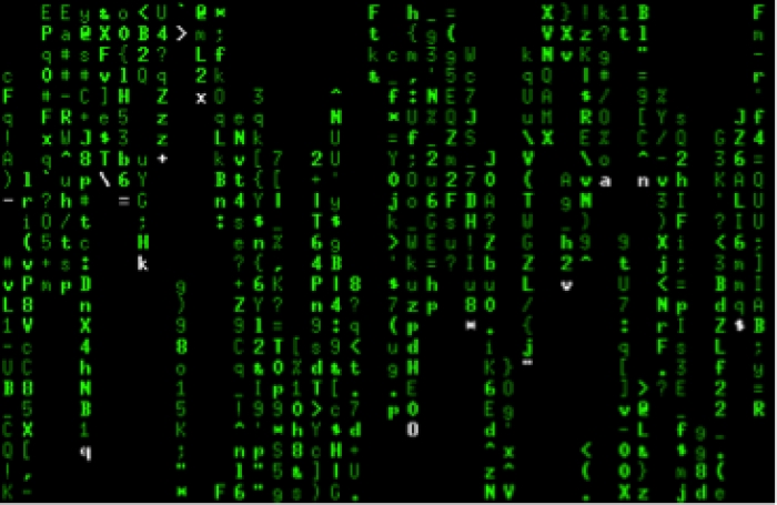 Primeros Puestos En Maratón De Programación