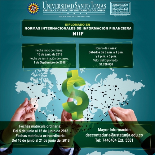 Diplomado En Normas Internacionales De Información Financiera