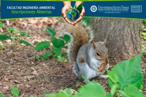 Con cerca de 240 fotografías recibidas, finalizó el 3er Concurso de Fotografía Ambiental