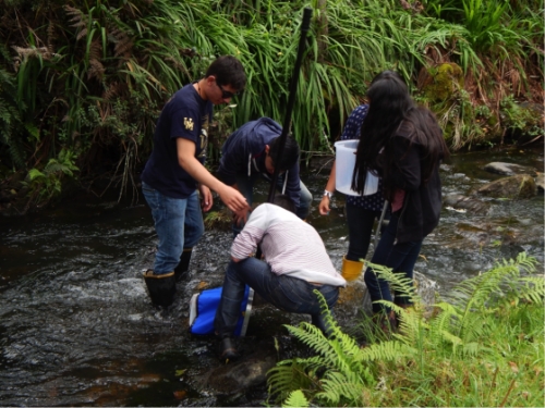 Salida de Campo Académica – Asignatura Ecología