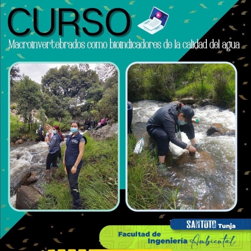 Curso en metodología virtual y práctica presencial de Macro invertebrados como bioindicadores de la calidad del agua