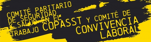 Estos son los integrantes del COPASST y del Comité de Convivencia Laboral