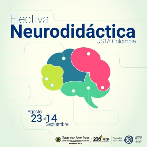 Electiva Neurodidáctica USTA Colombia